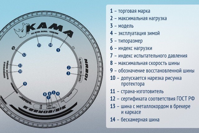 В результате жуткого ДТП с грузовиком и маршруткой под Черниговом погибло 11 человек На месте ведутся спасательные работы