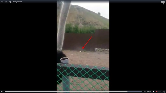 Ситуация, в которой надо разобраться!