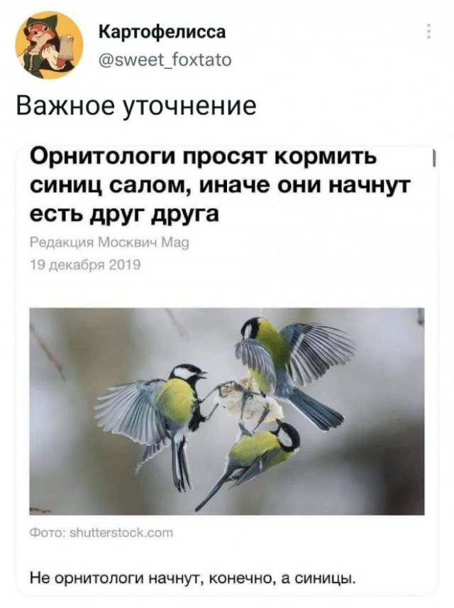 Картинки и мемы для настроения - 22