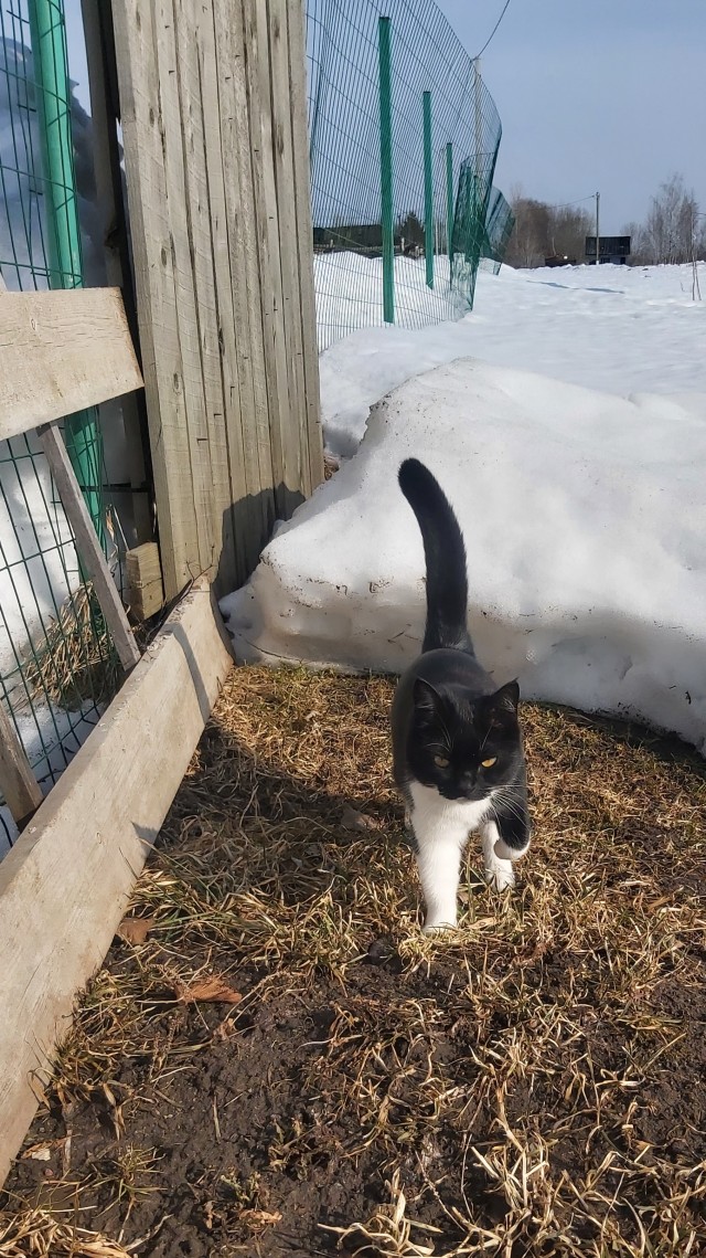 Ну, поехали в котоввторник!