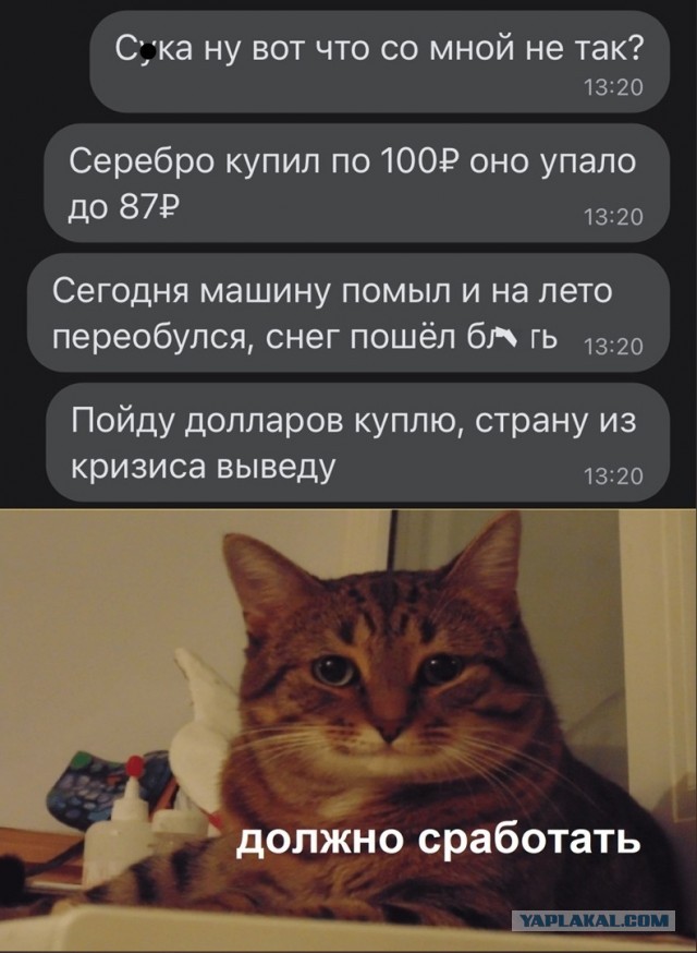 Так себе картинки 31.03.22