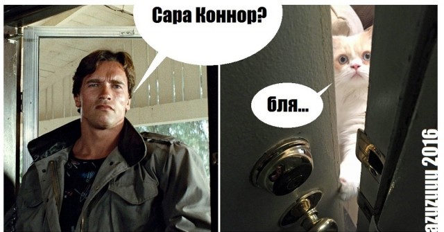 Трагическая смерть робота по доставке еды