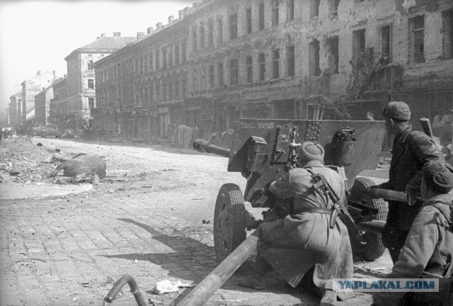 На канале ZDF: русские не являются европейцами