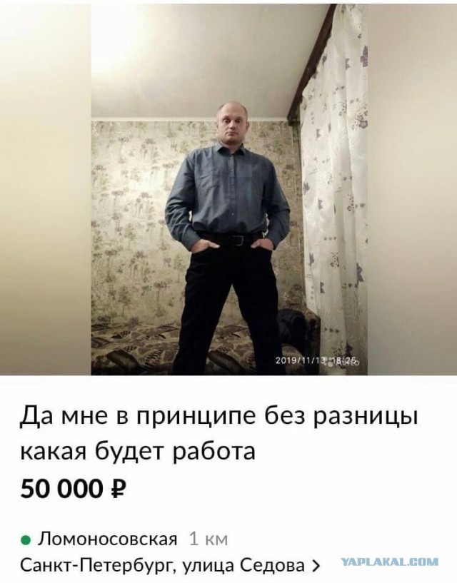 Отзывы, объявления, переписки