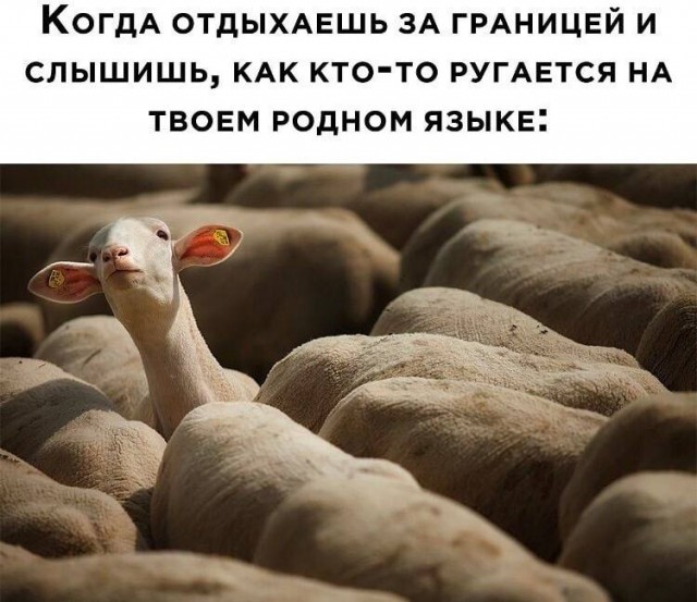 Так себе картинки 10.06.22
