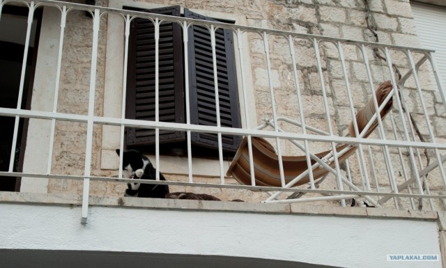 Поездка в Хорватию