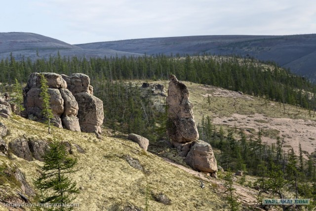 Сплав по реке Котуйкан.