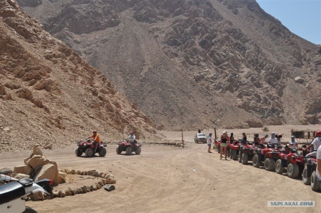 Как я ездил в Египет