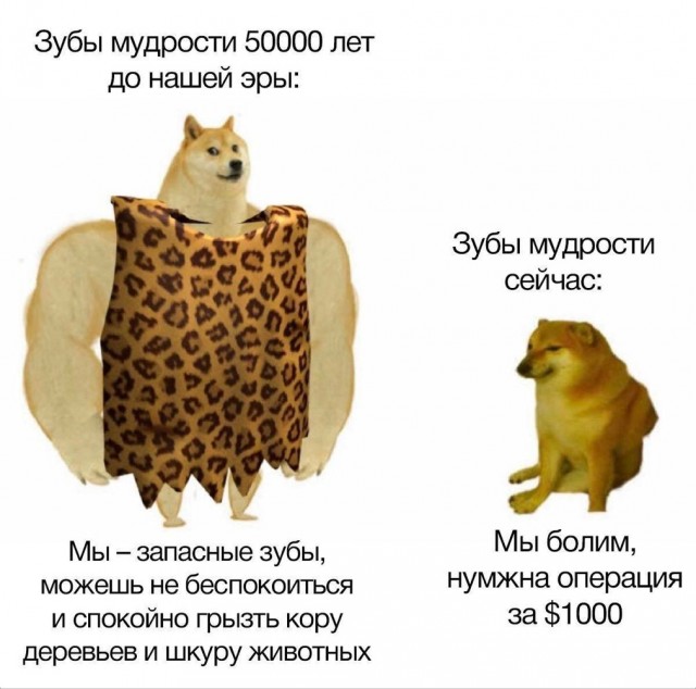 Очень унылые картинки