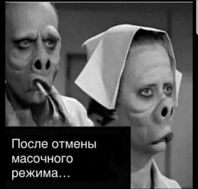 Народная меДИЧина 7037