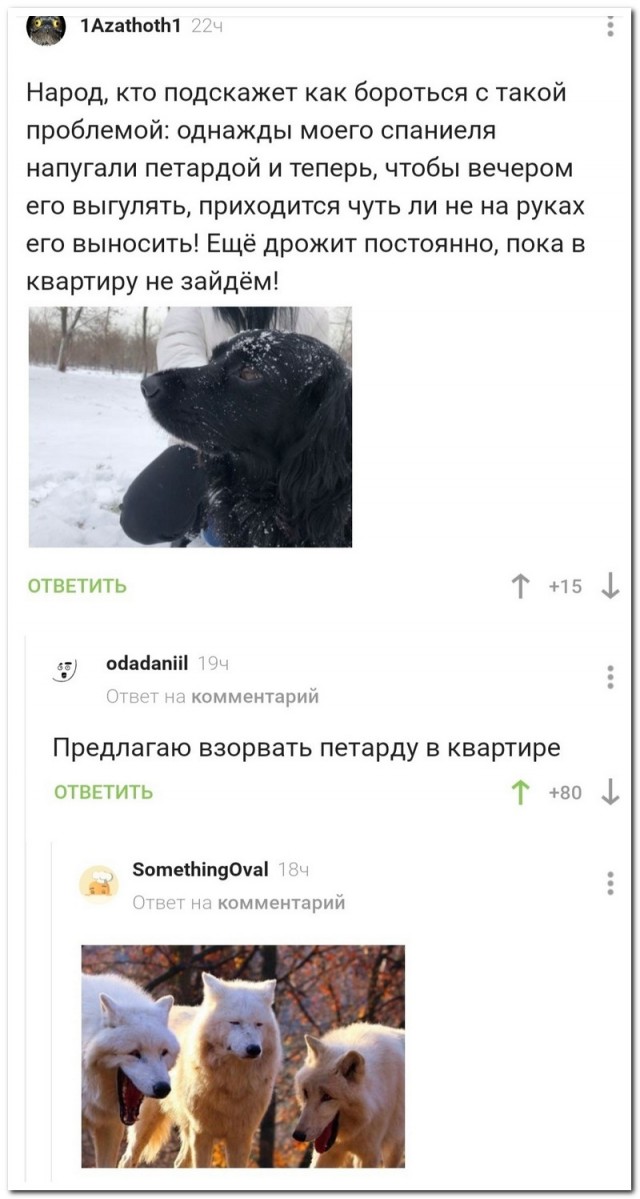 Немного картинок для настроения - 127