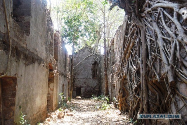 Фото отчёт о поездке в Индию.