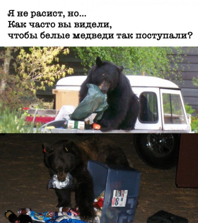 Картинки и мемы для настроения - 131