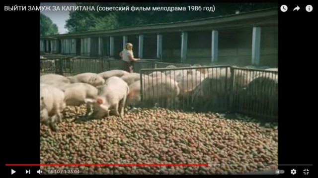 Зерно голодающим говорили они