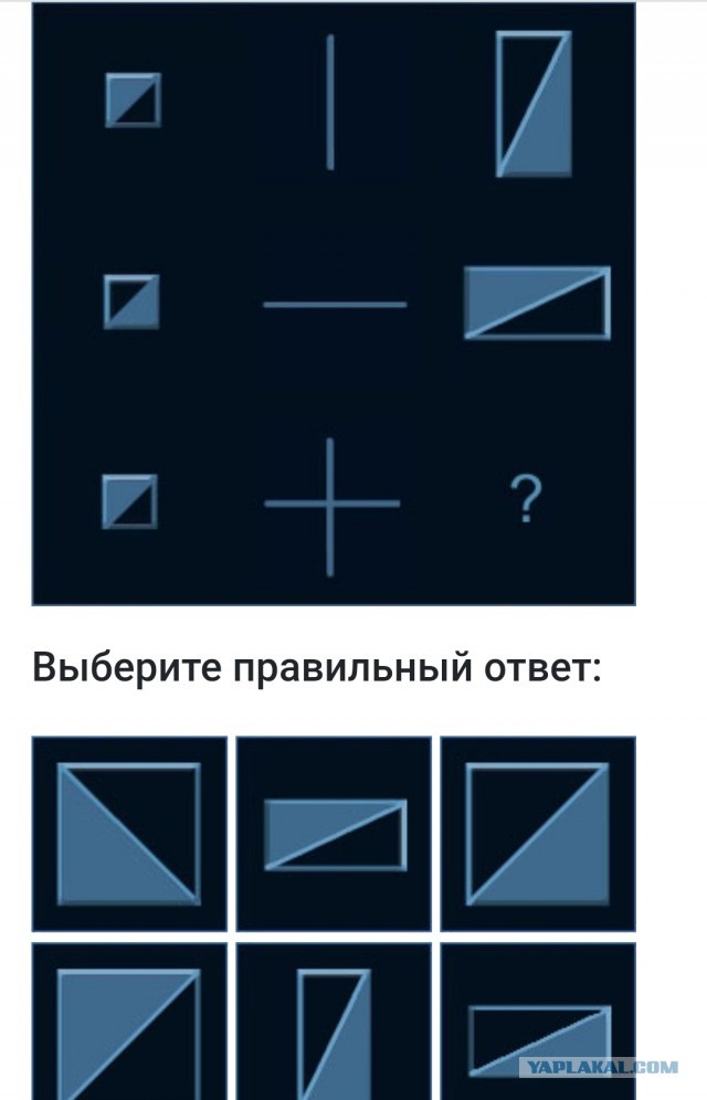 А какой у Вас IQ?