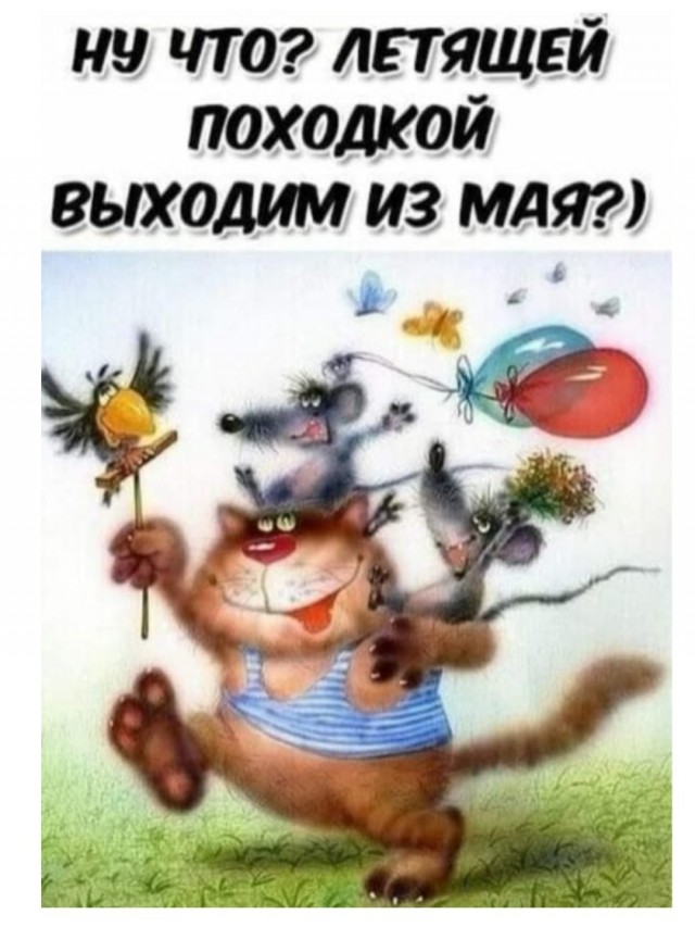 Так себе картинки 30.05.23