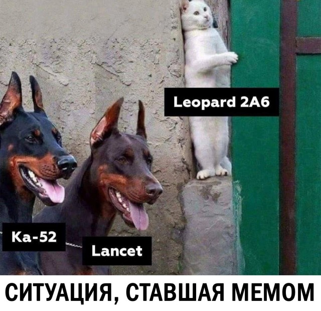 Победная поступь идиотизма по планете – том 17