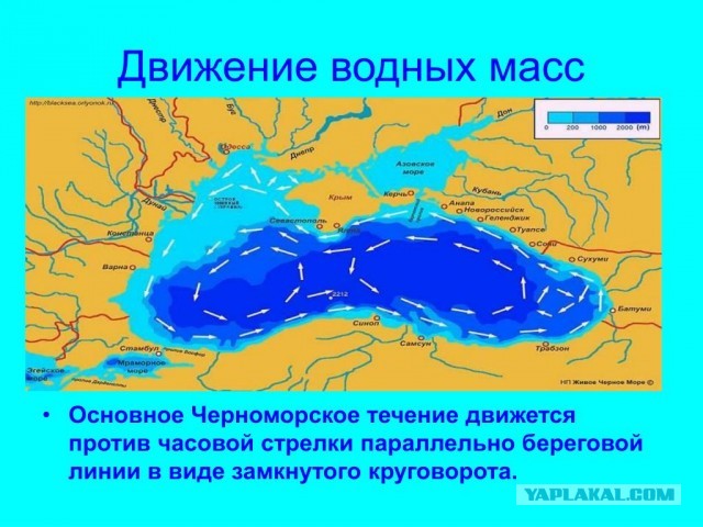 Лето, море