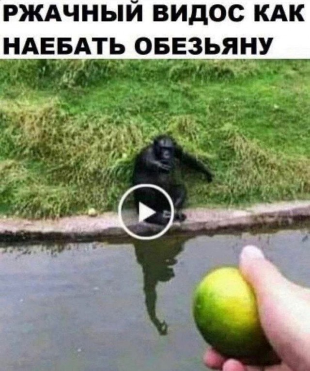 Так себе картинки 12.08.23
