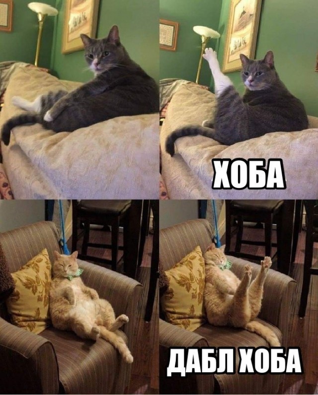 Миша принимает ванну