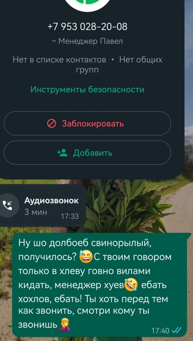 Семь минут издевался над очередным мошенником