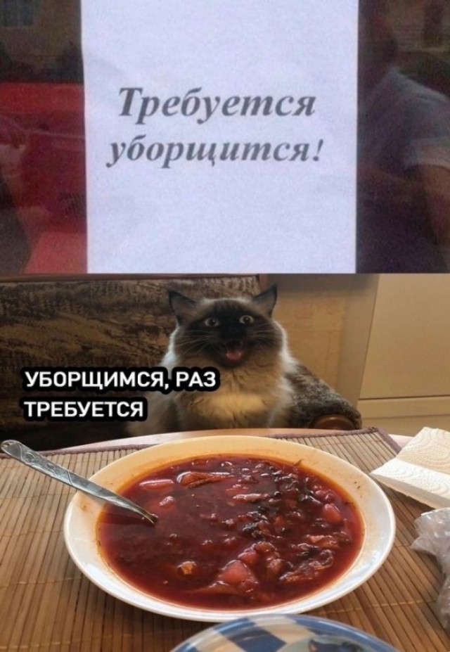 Приколы с налетом деградации