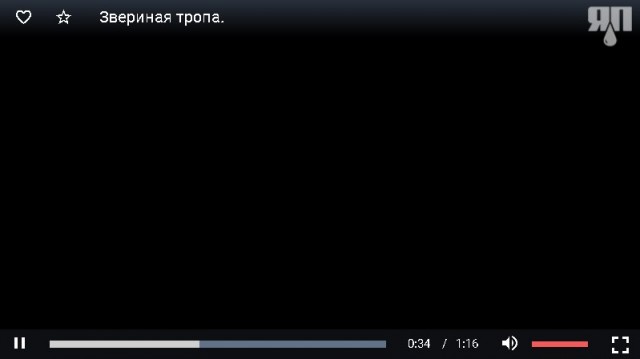 Звериная тропа