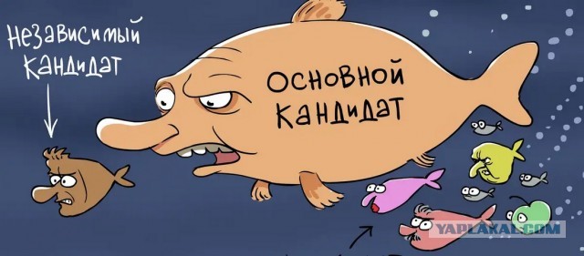 Вот такие кандидаты в президенты России