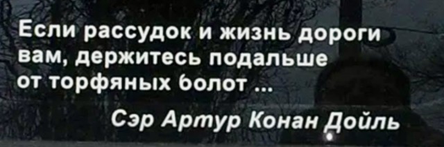 Верховые болота