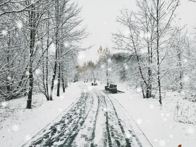 Первый снег…