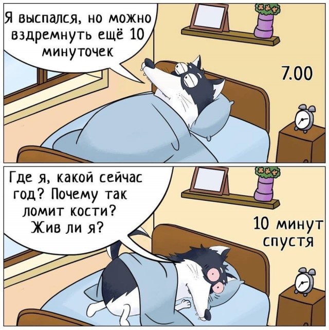 Завалялось тут случайно немного забавных картинок