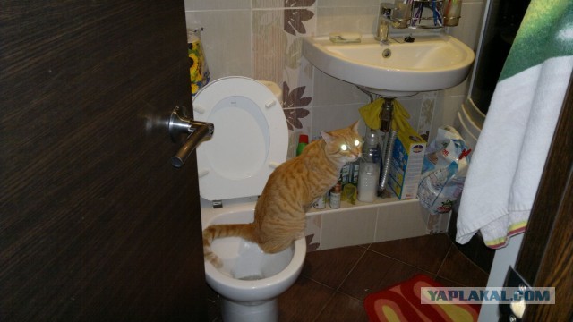 Мелом обвести?