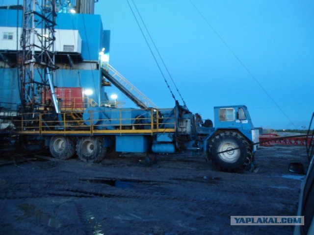 Красота! Лето на Ямале. Фото