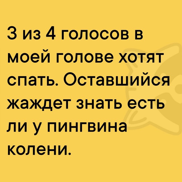 Так себе картинки 01.07.25