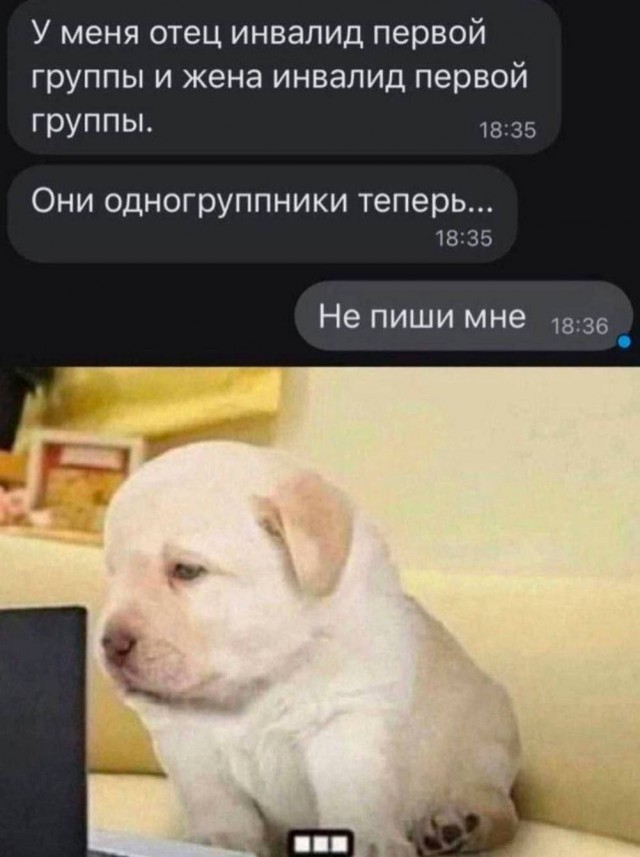 Веселые картинки в маленькую среду (30.07)