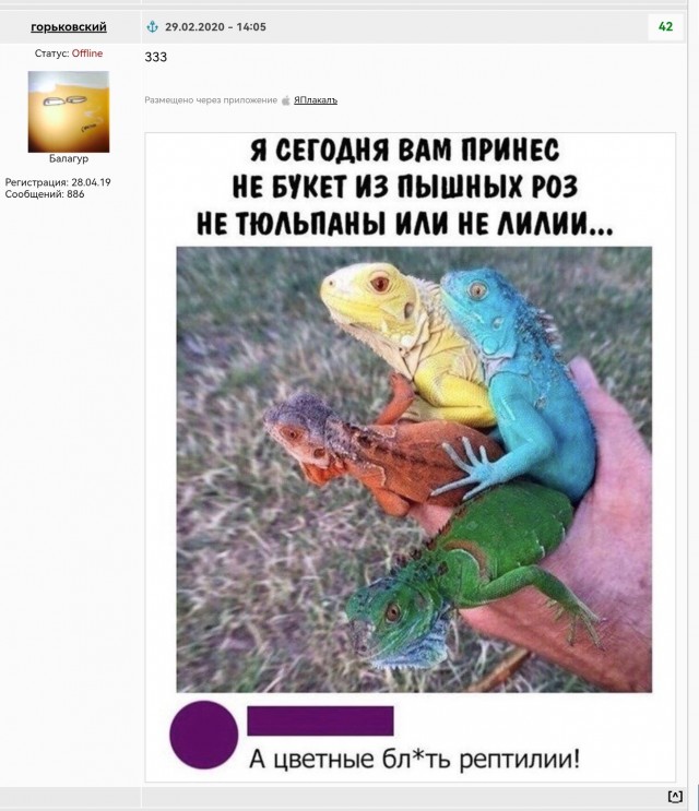 Коллеги, я сегодня Вам принес...