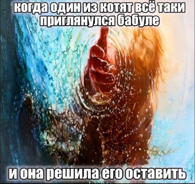 Пошлый и взрослый юмор #8
