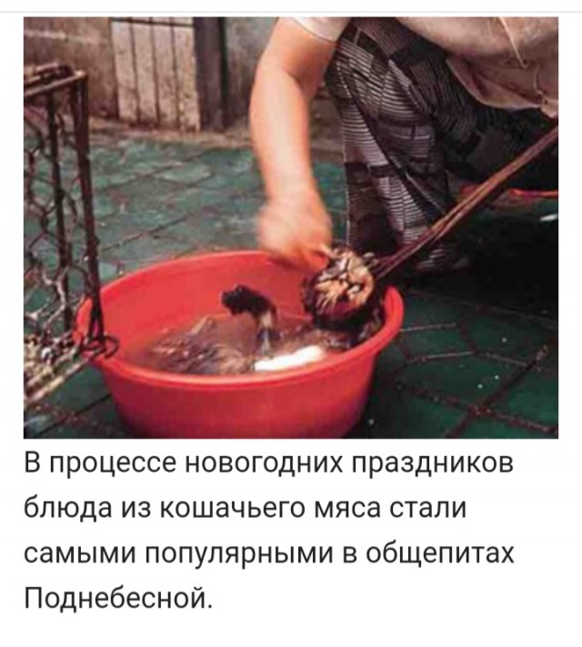 —Я сейчас полицию вызову — Вызывай! Я сам полковник полиции!"