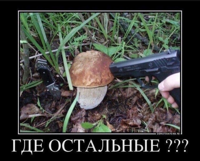 Субботние картинки