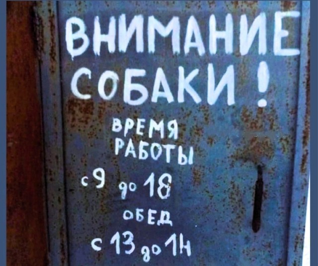 Прикольные и просто красивые картинки 12.12.2025