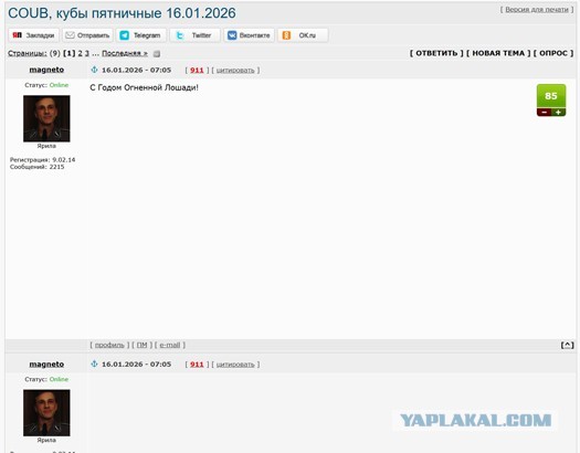 Не показывает coub-ы на сайте