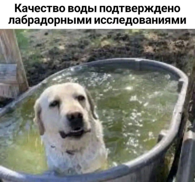 А без воды. И ни туды и ни сюды .