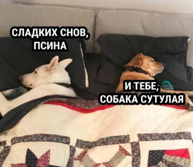 Картинки для настроения