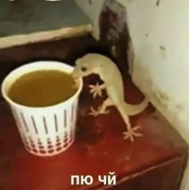 Прикольные и просто красивые картинки 01.09.2026