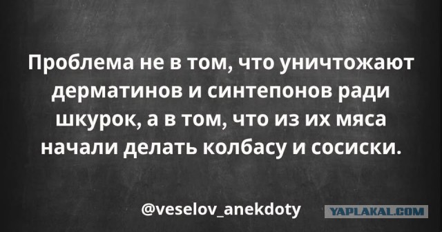 Чернушка на субботу