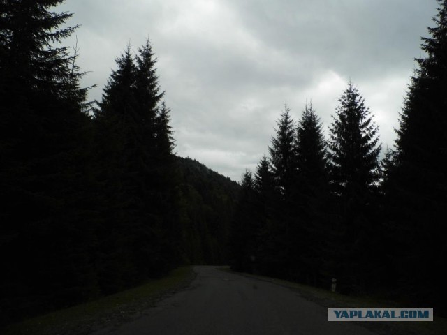 В Карпатах