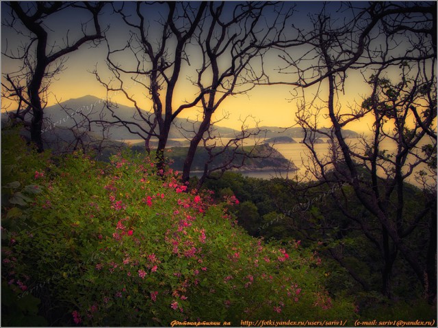 Природа Приморского края