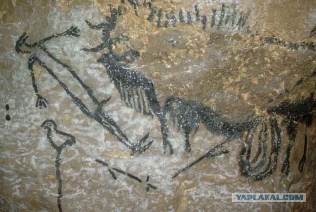 Парад дрищ-атлетов или "лето на носу...."