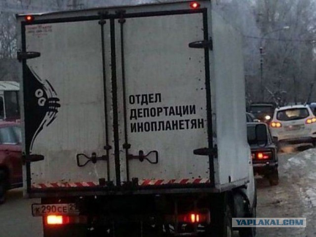 Прикольные картинки