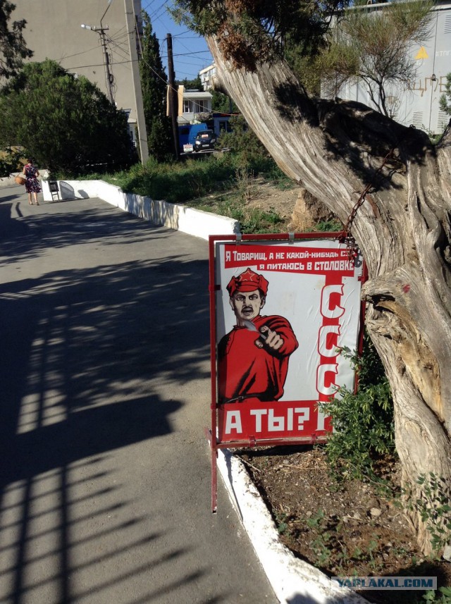 Отчет о поездке в Крым